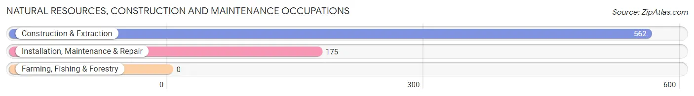 Natural Resources, Construction and Maintenance Occupations in West Hempstead