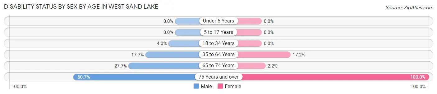 Disability Status by Sex by Age in West Sand Lake