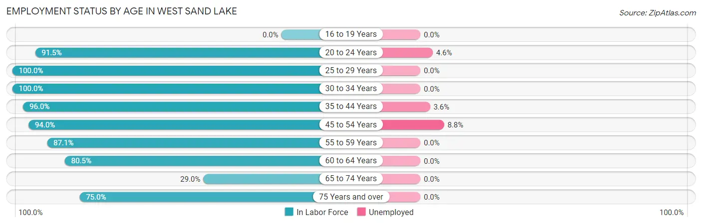 Employment Status by Age in West Sand Lake