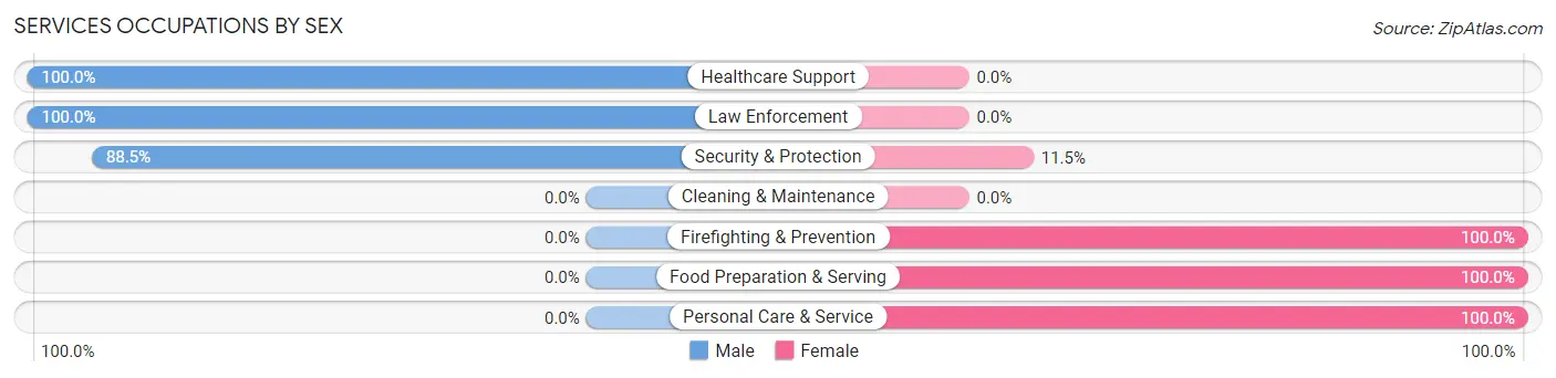 Services Occupations by Sex in West Sand Lake