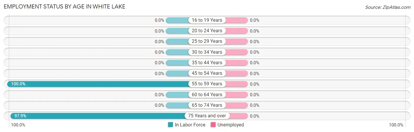 Employment Status by Age in White Lake