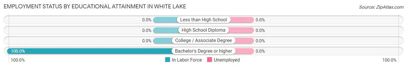 Employment Status by Educational Attainment in White Lake