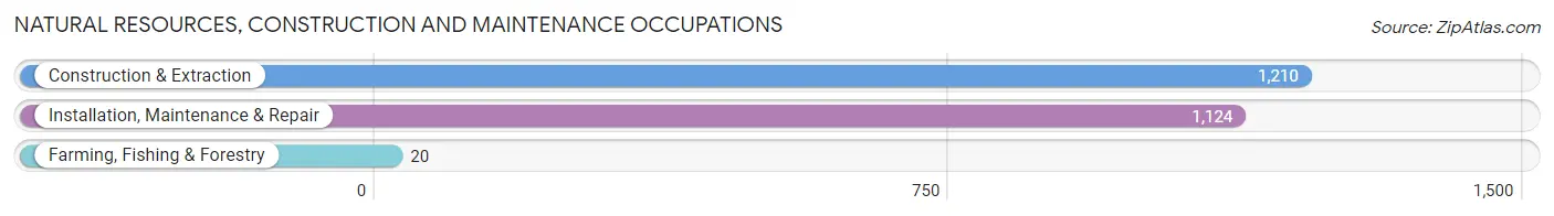 Natural Resources, Construction and Maintenance Occupations in White Plains