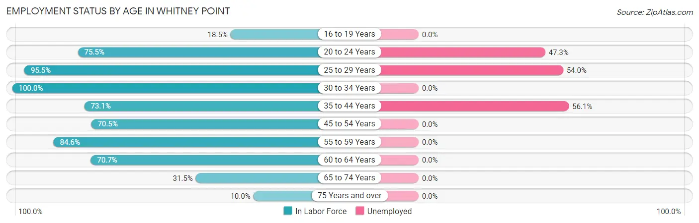 Employment Status by Age in Whitney Point