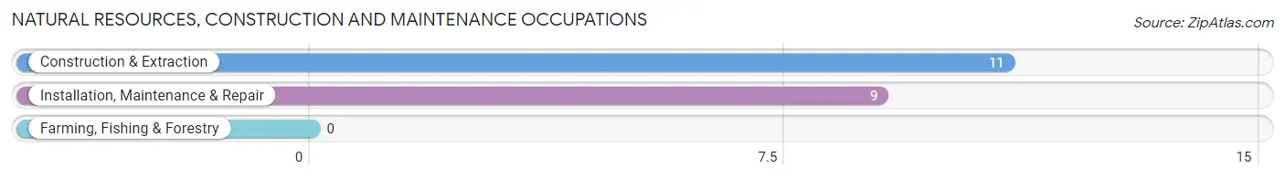 Natural Resources, Construction and Maintenance Occupations in Willsboro Point