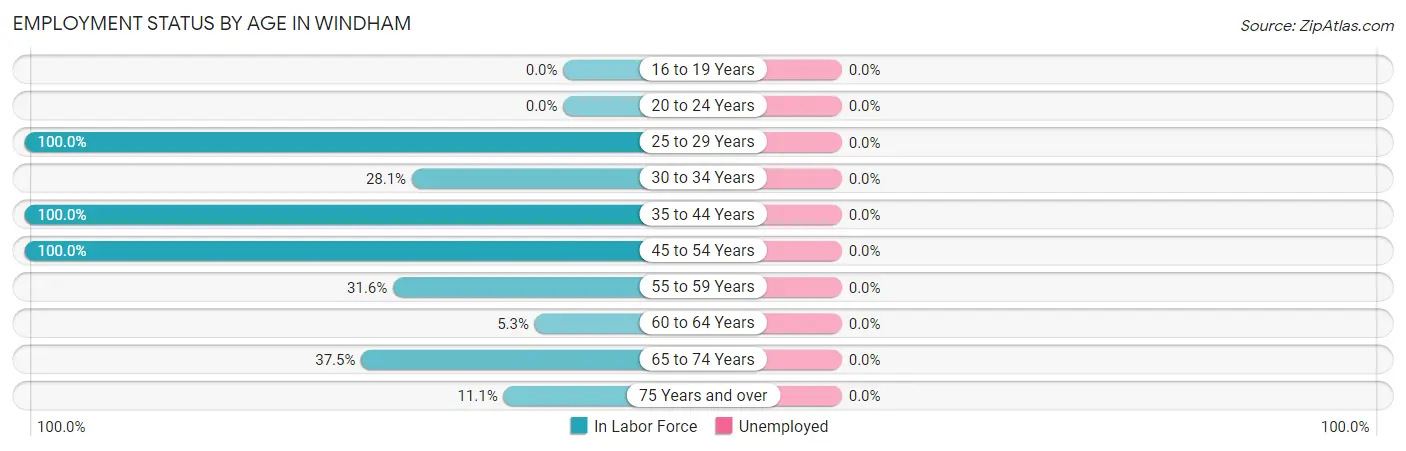 Employment Status by Age in Windham