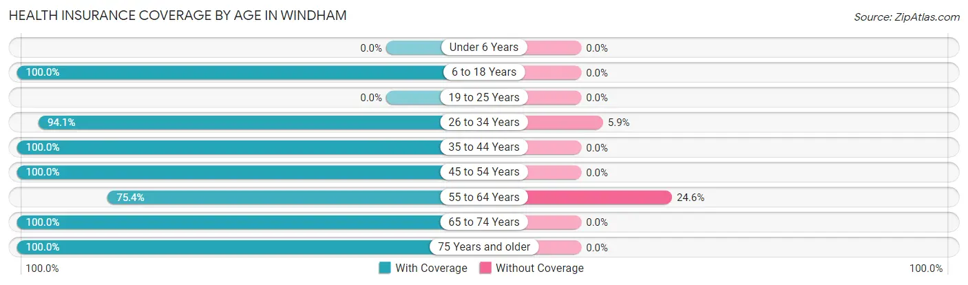 Health Insurance Coverage by Age in Windham