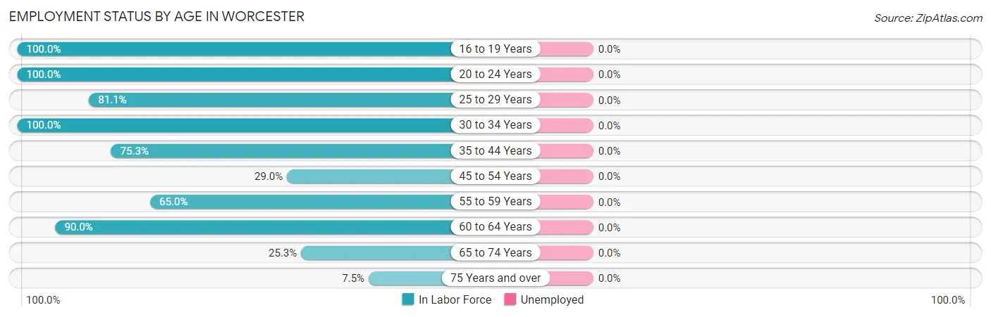 Employment Status by Age in Worcester