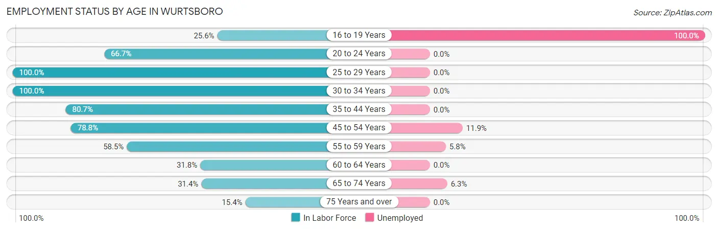 Employment Status by Age in Wurtsboro