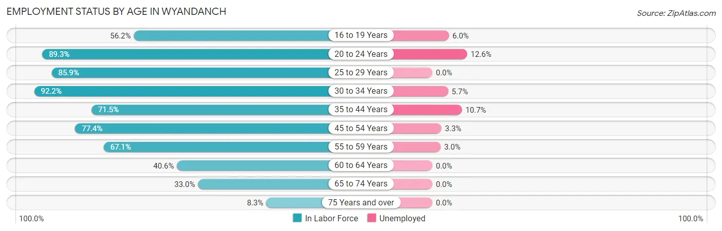 Employment Status by Age in Wyandanch