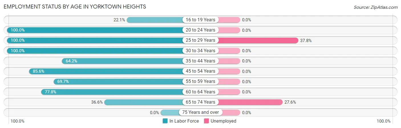 Employment Status by Age in Yorktown Heights