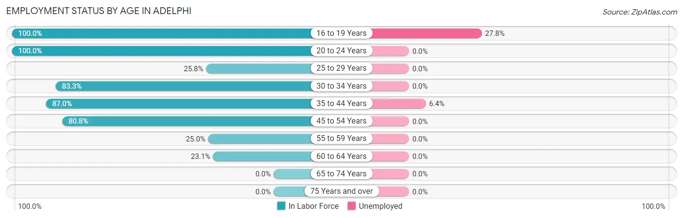 Employment Status by Age in Adelphi