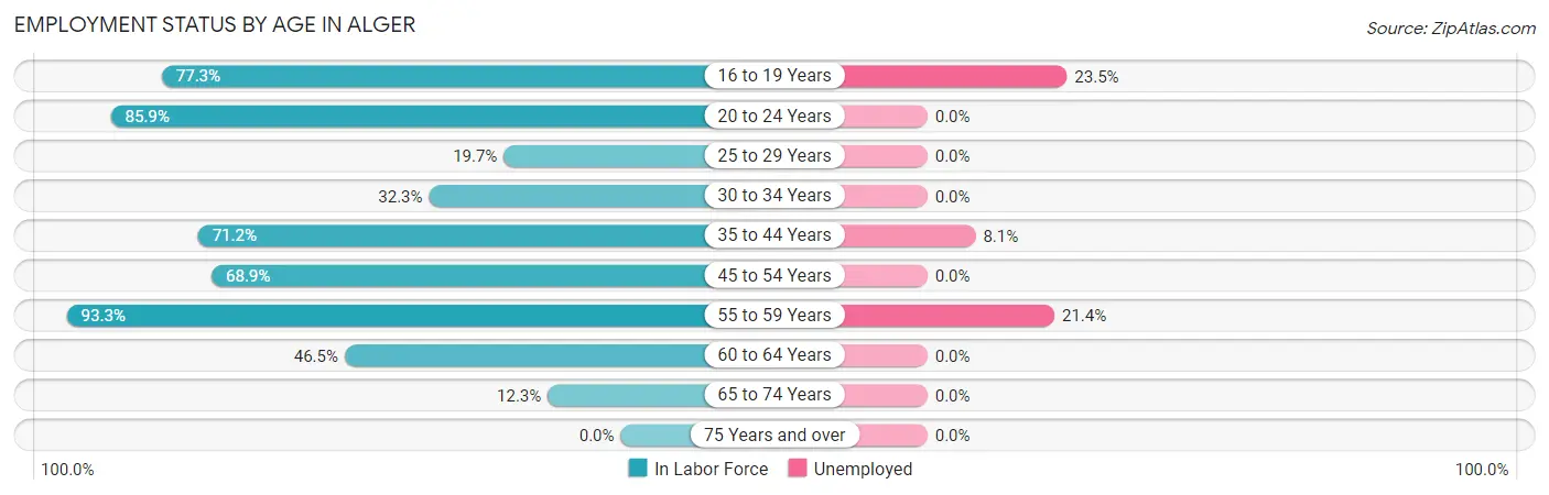 Employment Status by Age in Alger