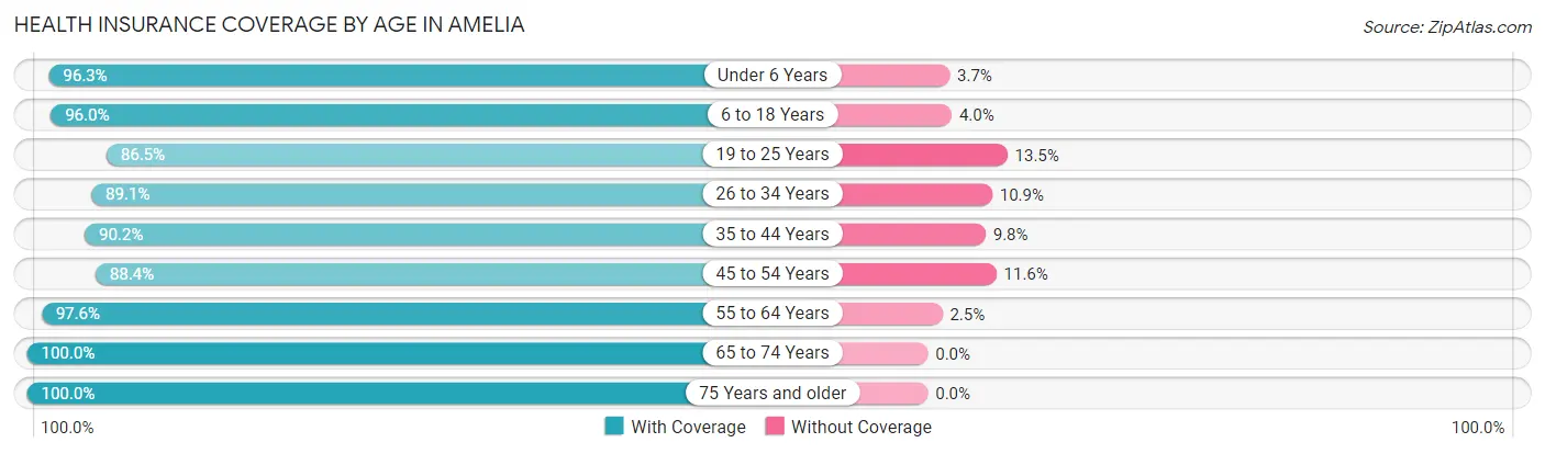 Health Insurance Coverage by Age in Amelia