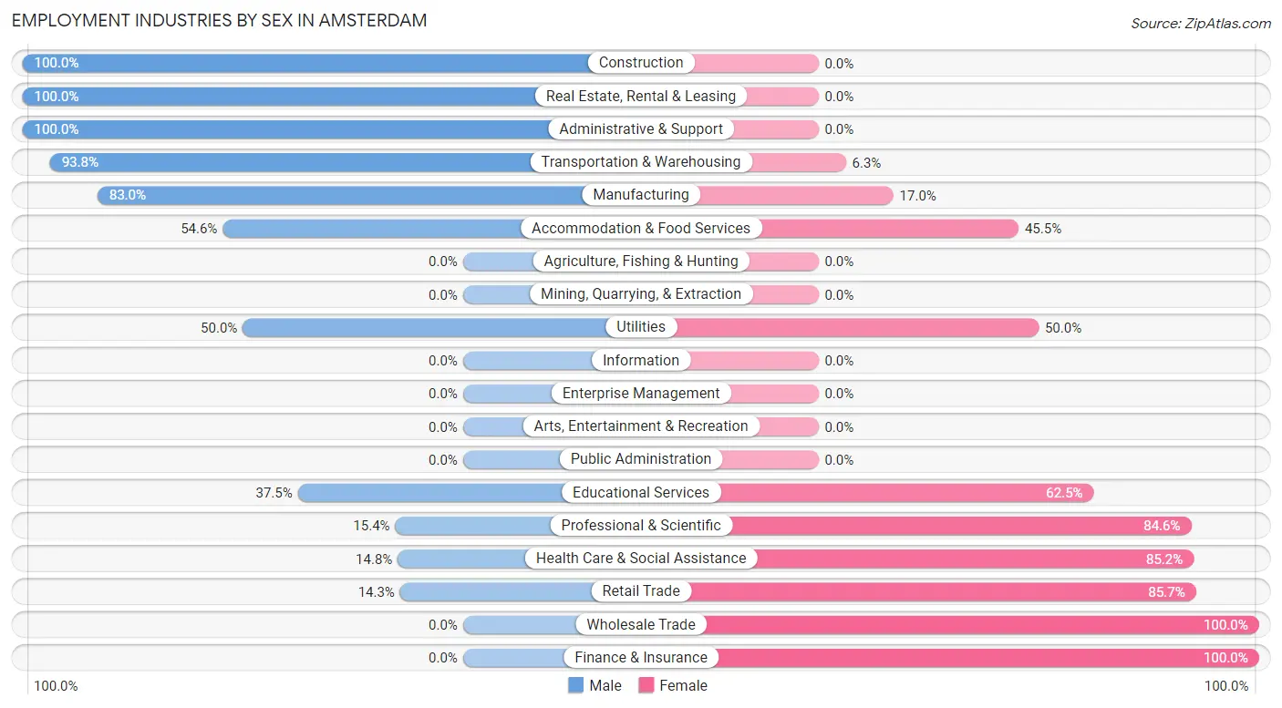 Employment Industries by Sex in Amsterdam