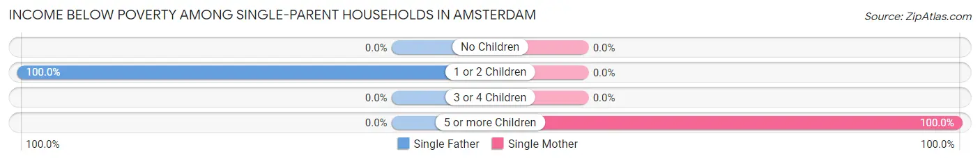 Income Below Poverty Among Single-Parent Households in Amsterdam