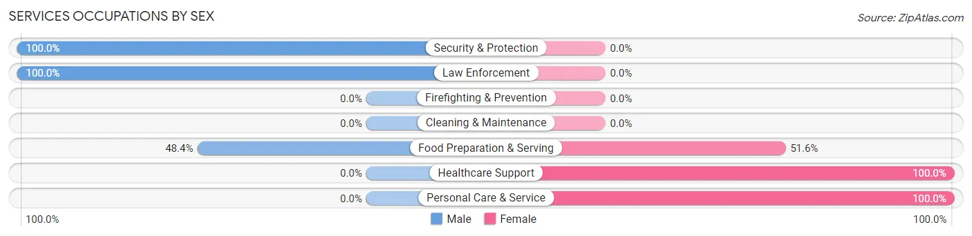 Services Occupations by Sex in Antwerp