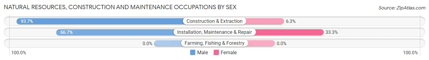 Natural Resources, Construction and Maintenance Occupations by Sex in Arcanum