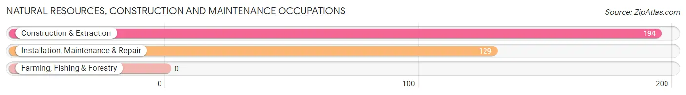 Natural Resources, Construction and Maintenance Occupations in Avon Lake