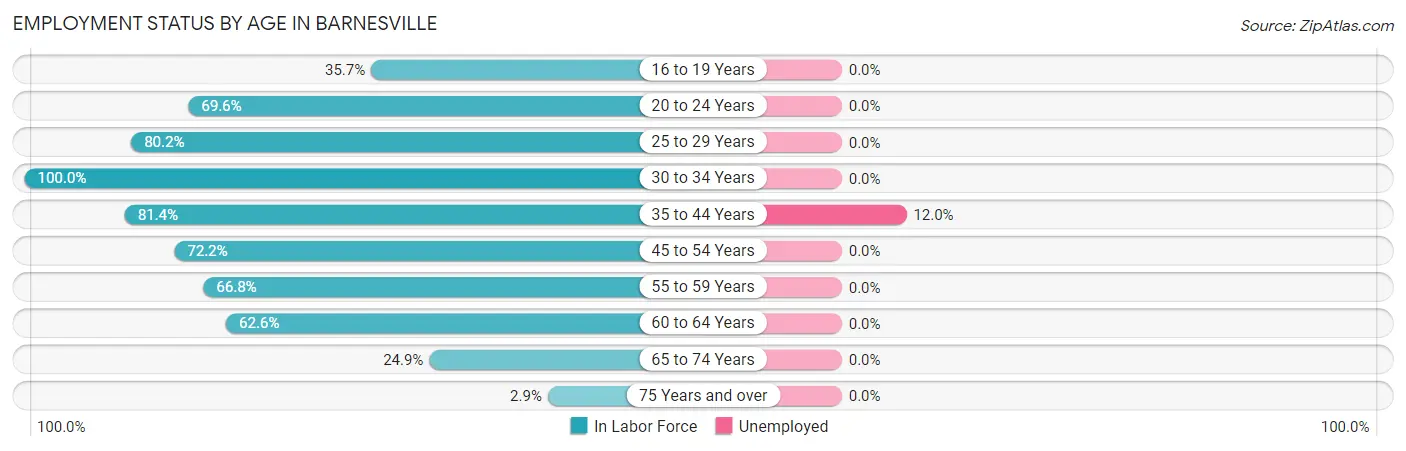 Employment Status by Age in Barnesville