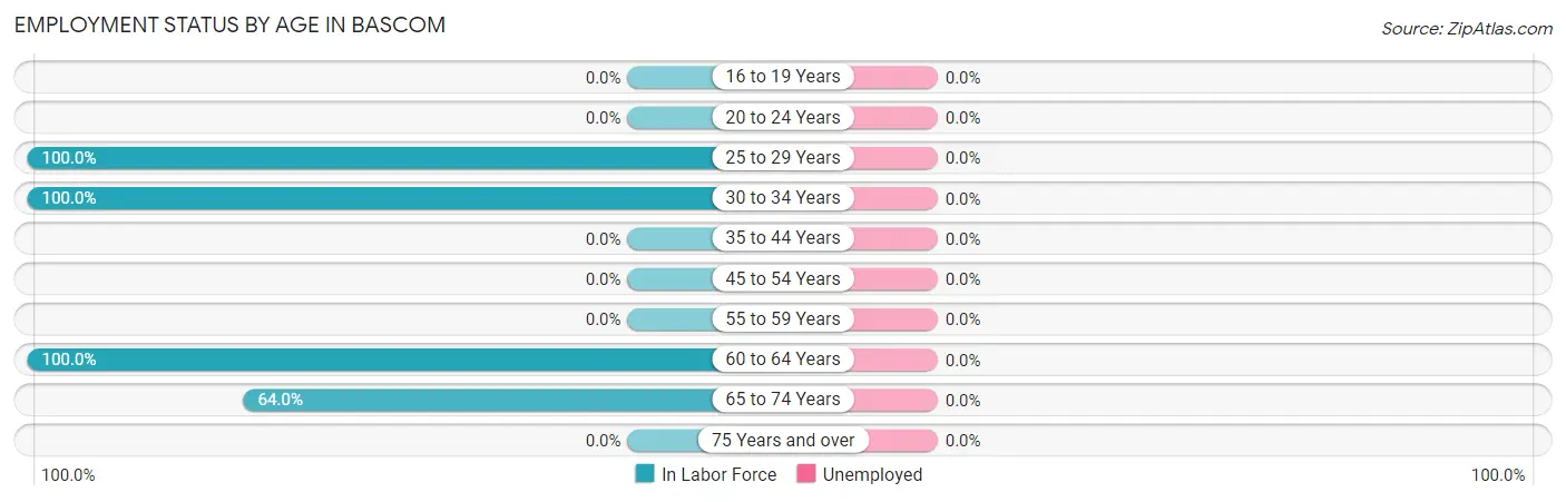 Employment Status by Age in Bascom