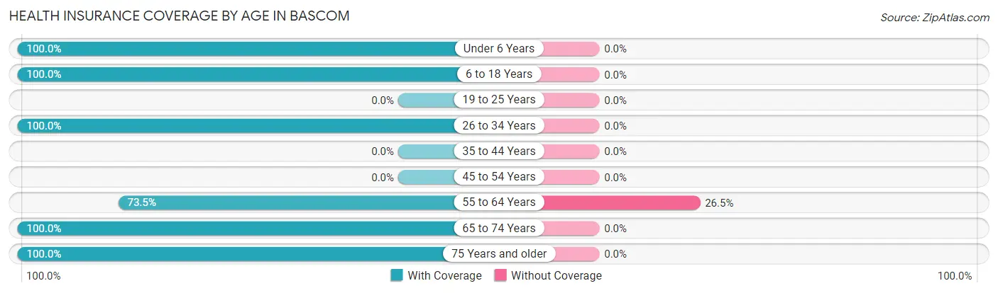 Health Insurance Coverage by Age in Bascom
