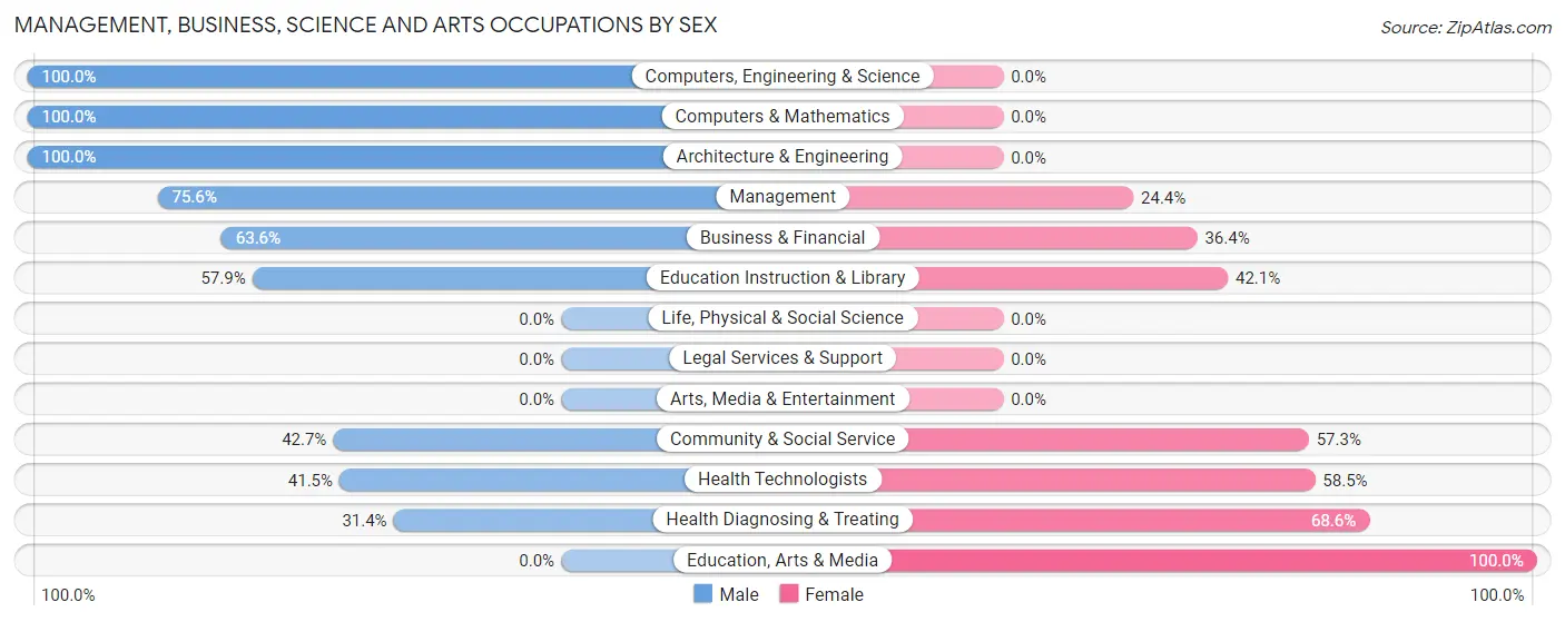 Management, Business, Science and Arts Occupations by Sex in Bellaire