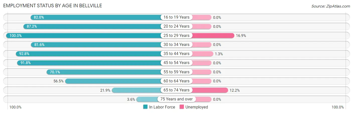 Employment Status by Age in Bellville