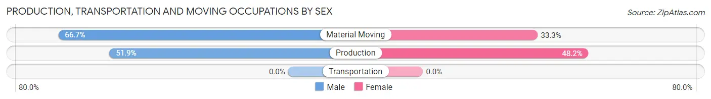 Production, Transportation and Moving Occupations by Sex in Benton Ridge