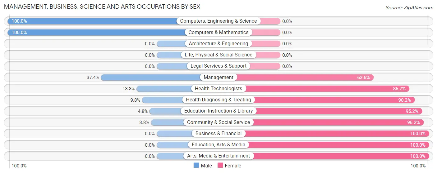 Management, Business, Science and Arts Occupations by Sex in Bethel