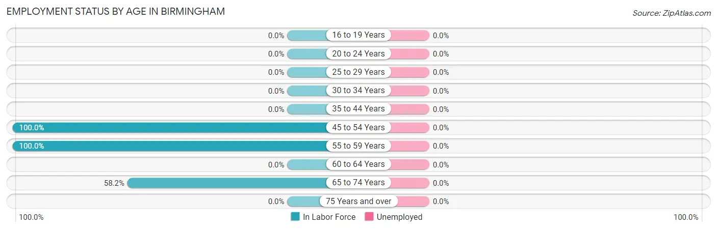 Employment Status by Age in Birmingham