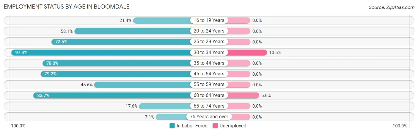 Employment Status by Age in Bloomdale