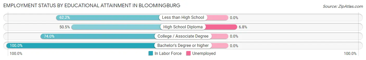 Employment Status by Educational Attainment in Bloomingburg