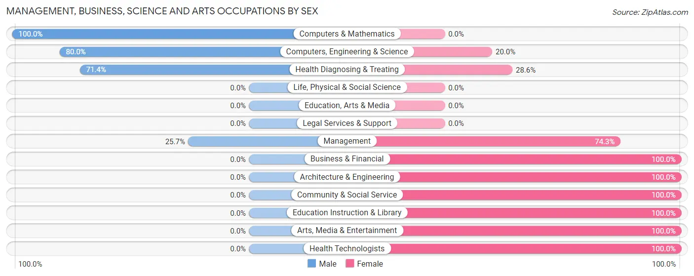 Management, Business, Science and Arts Occupations by Sex in Bloomingburg