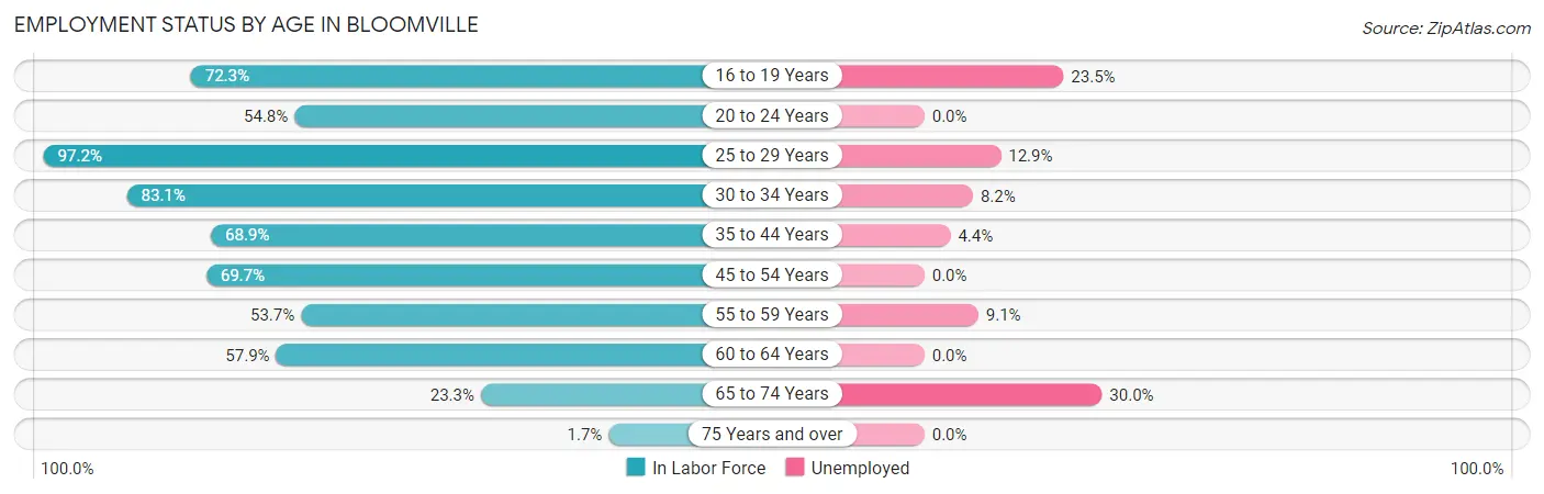 Employment Status by Age in Bloomville