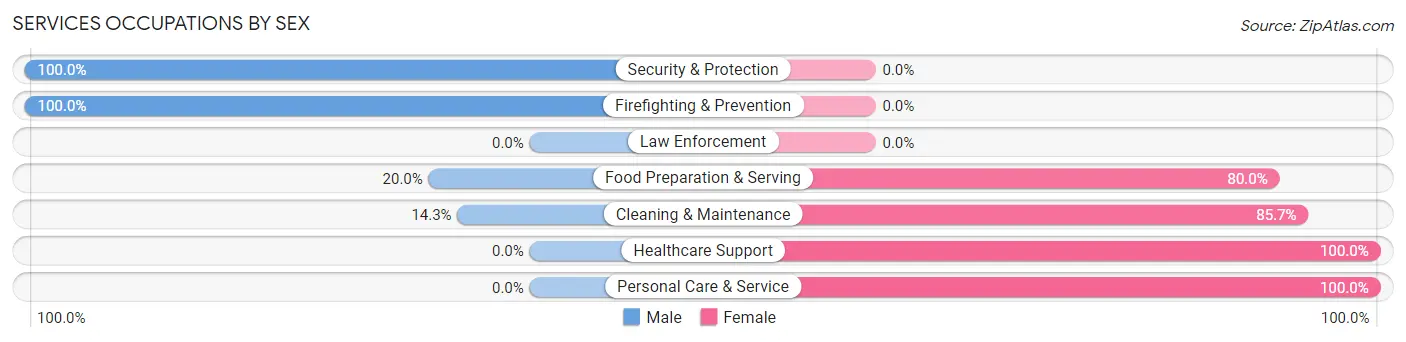 Services Occupations by Sex in Bloomville