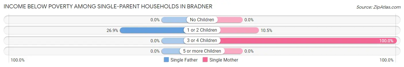 Income Below Poverty Among Single-Parent Households in Bradner