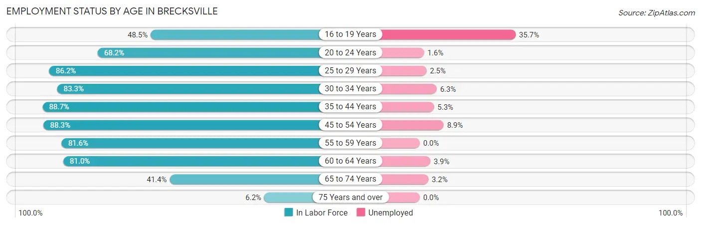 Employment Status by Age in Brecksville