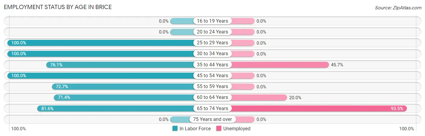 Employment Status by Age in Brice