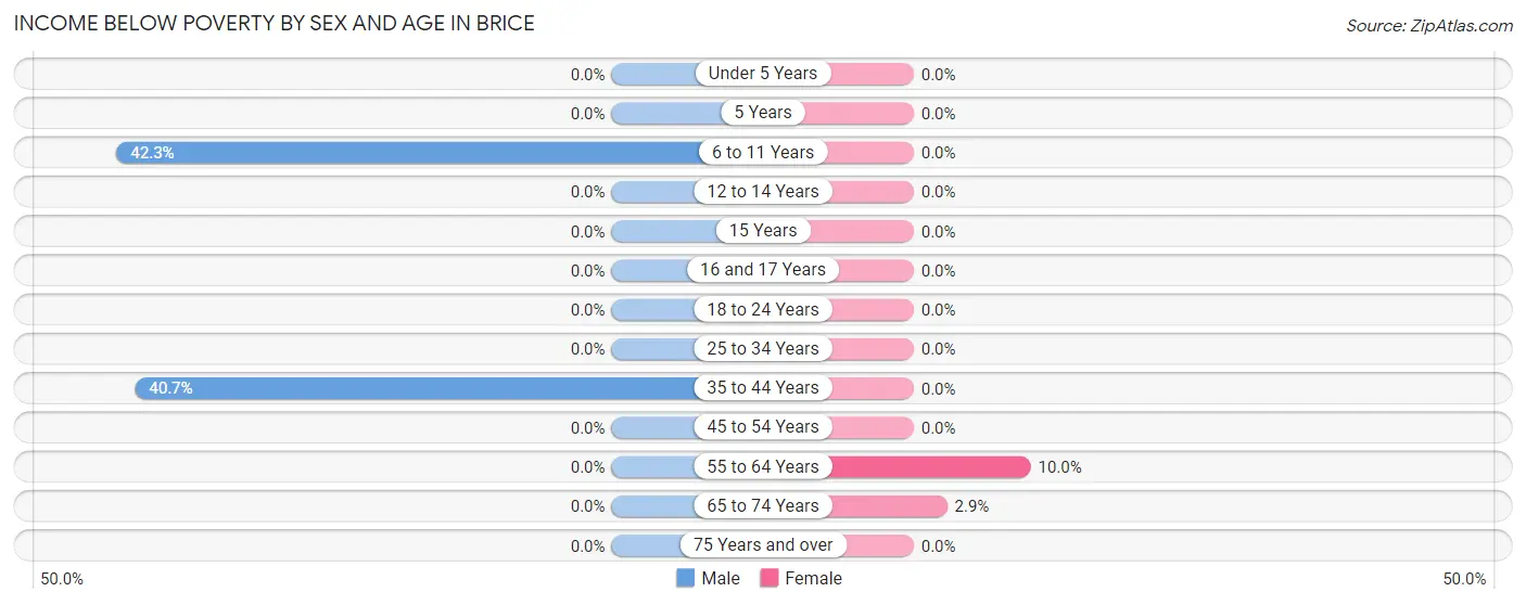 Income Below Poverty by Sex and Age in Brice