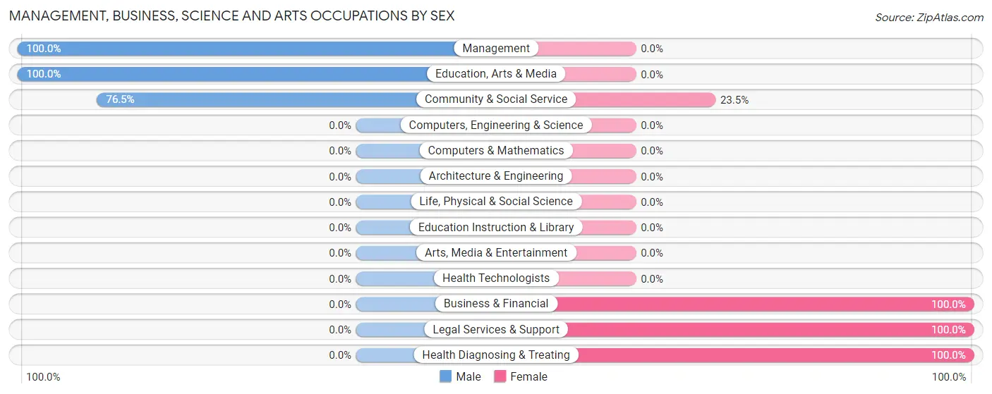 Management, Business, Science and Arts Occupations by Sex in Brice