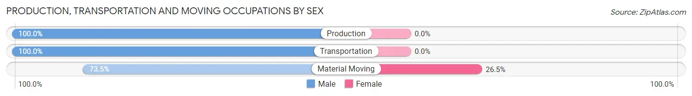Production, Transportation and Moving Occupations by Sex in Bridgeport
