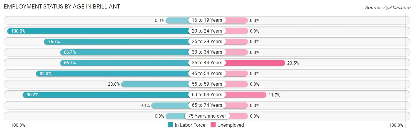 Employment Status by Age in Brilliant