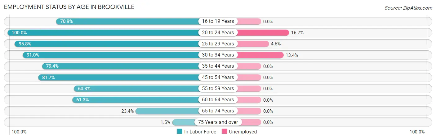 Employment Status by Age in Brookville