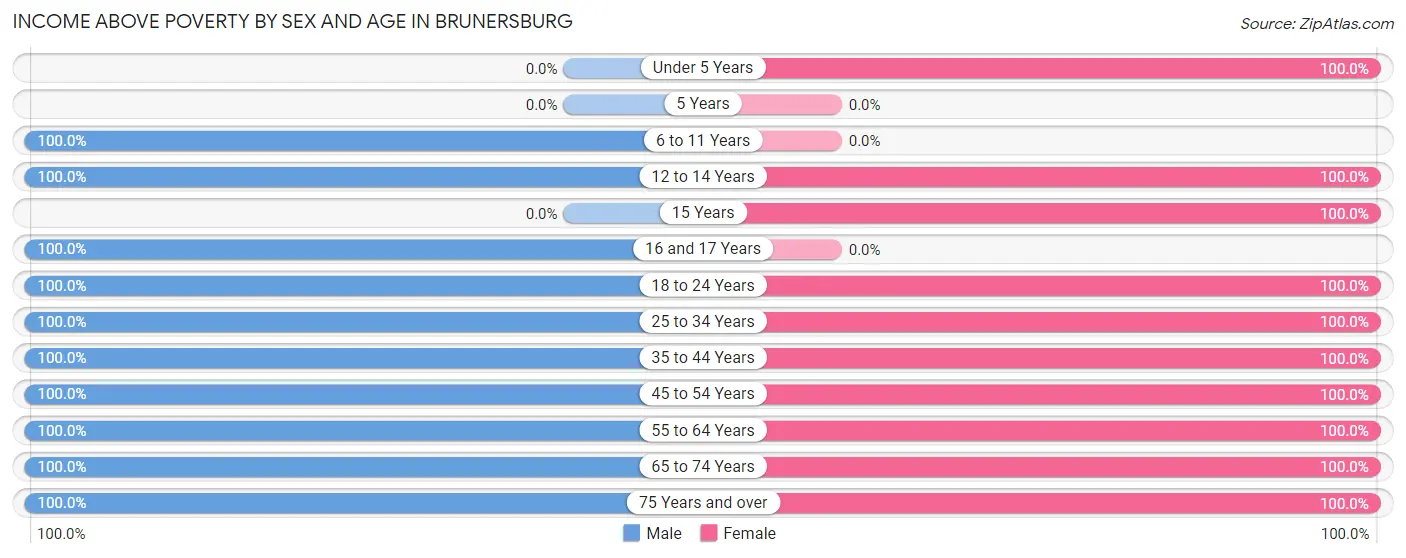 Income Above Poverty by Sex and Age in Brunersburg