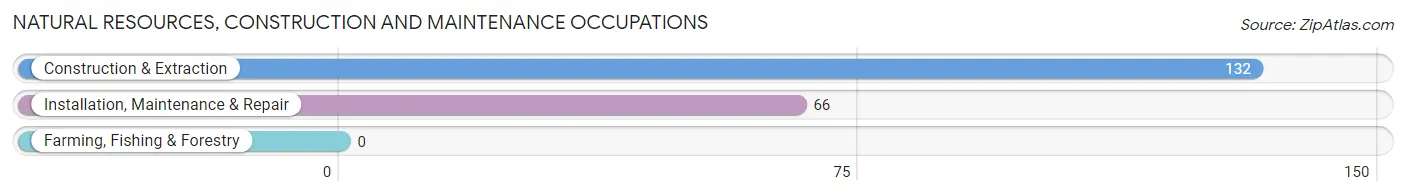 Natural Resources, Construction and Maintenance Occupations in Bryan