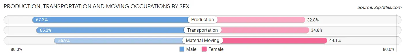 Production, Transportation and Moving Occupations by Sex in Buckeye Lake