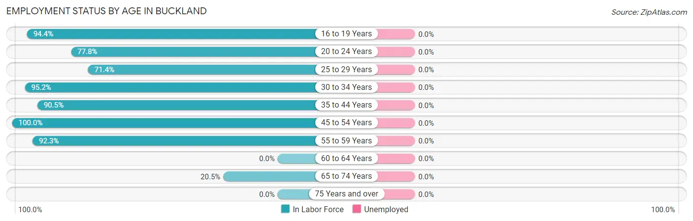Employment Status by Age in Buckland