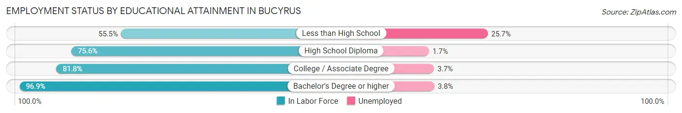 Employment Status by Educational Attainment in Bucyrus