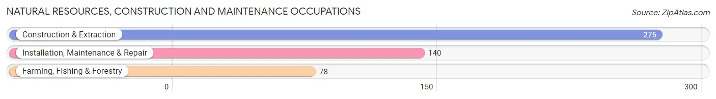 Natural Resources, Construction and Maintenance Occupations in Bucyrus